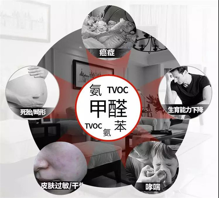 杭州辦公室擺放什么綠植可以除甲醛？