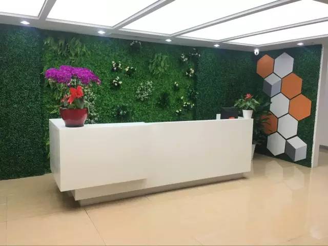 公司前臺擺放什么植物好? 公司前臺擺放什么植物好?